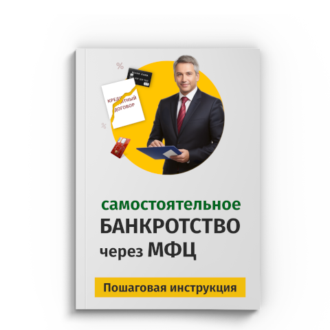 Пошаговая процедура банкротства через МФЦ в Благовещенске